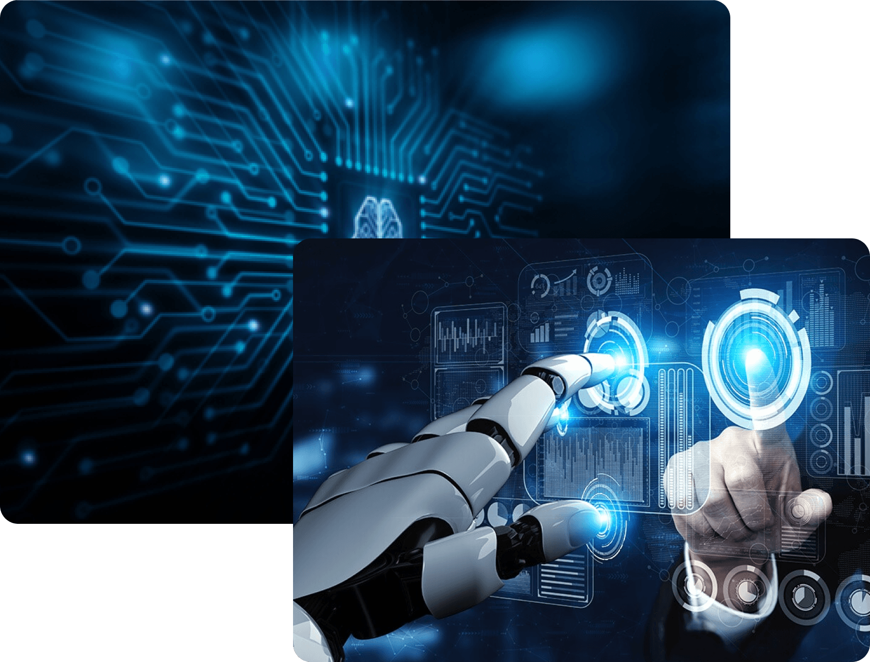 rapidroot-ai