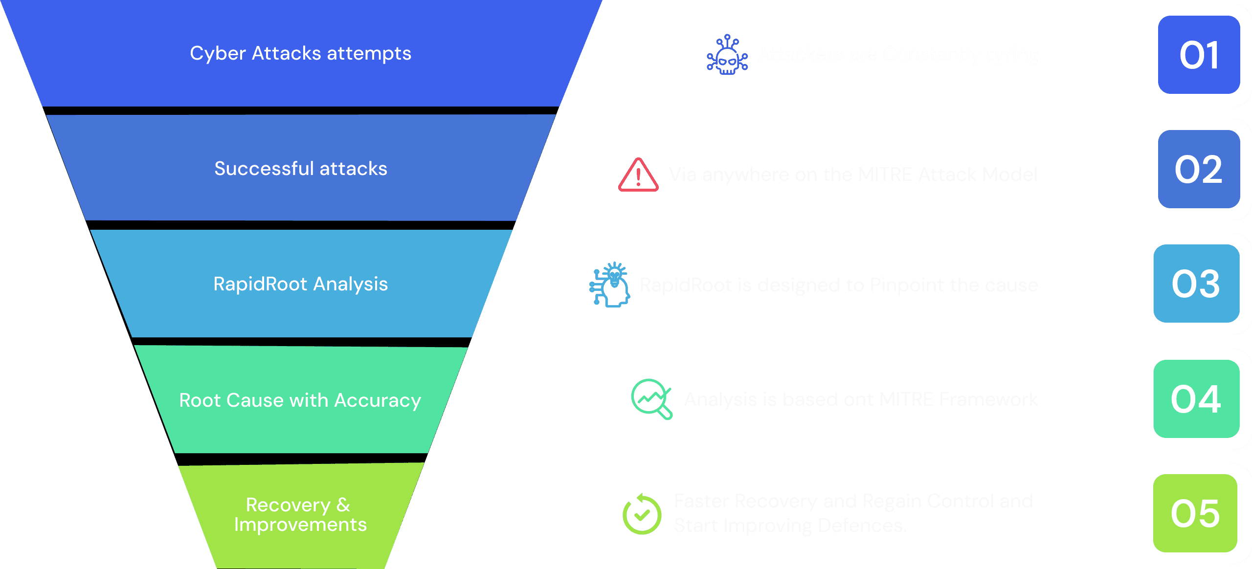 rapidroot